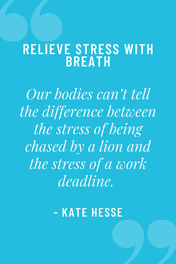 Our bodies can't tell the difference between the stress of being chased by a lion and the stress of a work deadline.