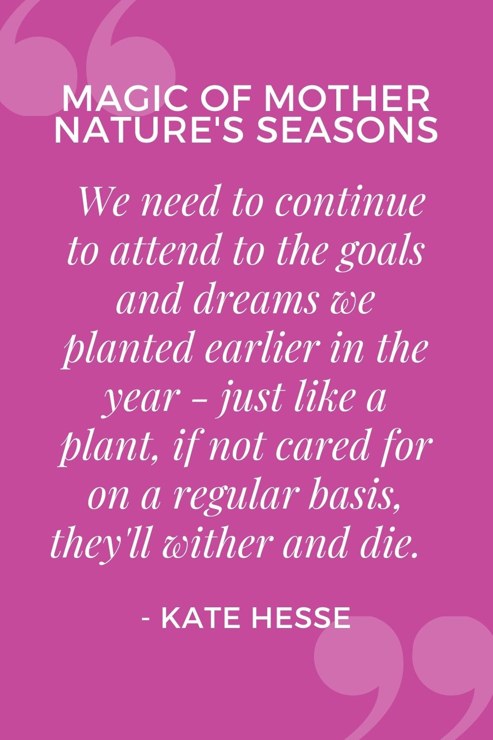 We need to continue to attend to the goals and dreams we planted earlier in the year - just like a plant, if not cared for on a regular basis, they'll wither and die.